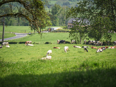 2024 - Ardennes Trophy - photo 56